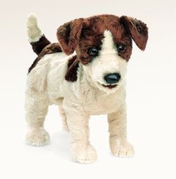 Handpop Jack Russell Terrier