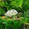 Handpop schildpad